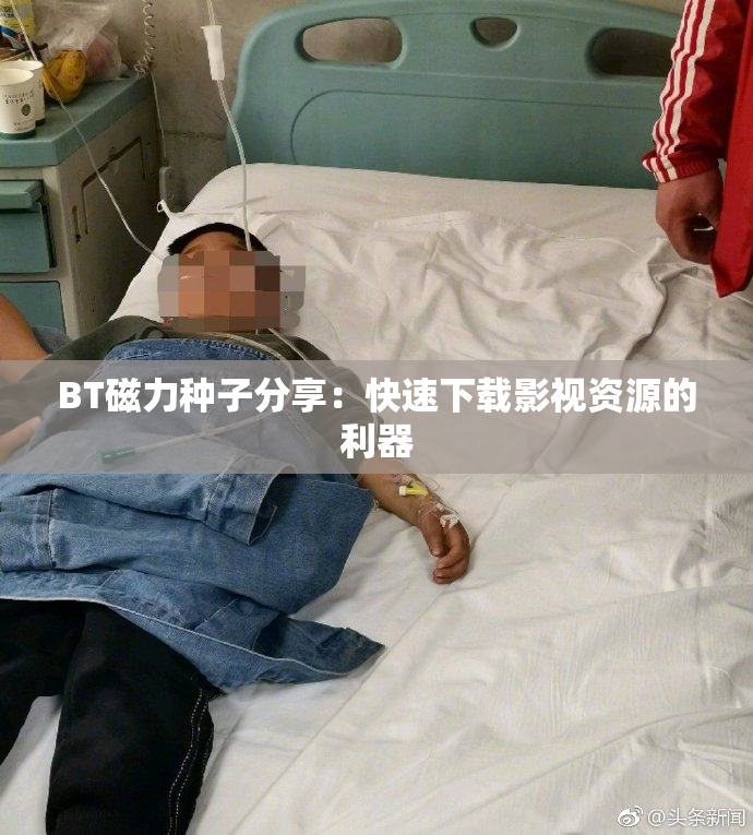BT磁力种子分享：快速下载影视资源的利器