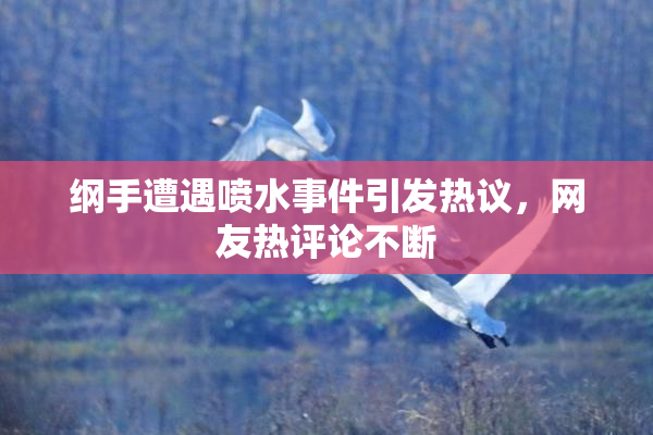 纲手遭遇喷水事件引发热议，网友热评论不断