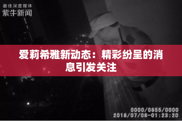 爱莉希雅新动态：精彩纷呈的消息引发关注