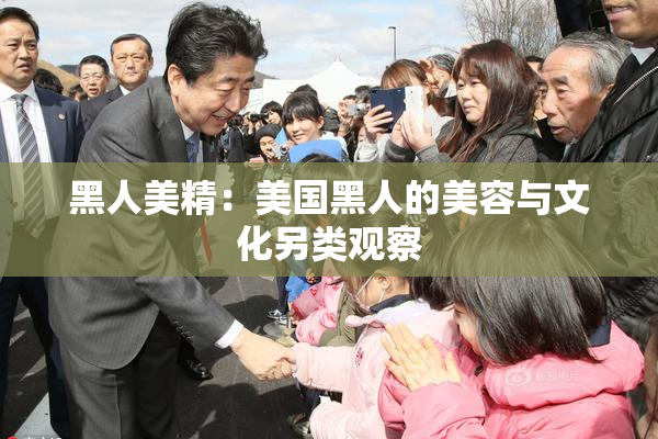 黑人美精：美国黑人的美容与文化另类观察