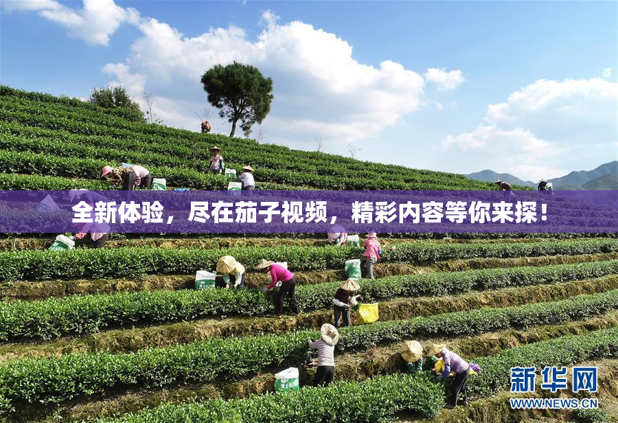 全新体验，尽在茄子视频，精彩内容等你来探！