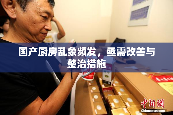 国产厨房乱象频发，亟需改善与整治措施