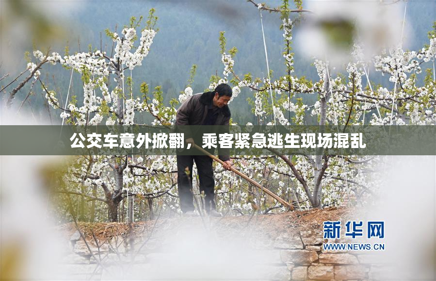 公交车意外掀翻，乘客紧急逃生现场混乱