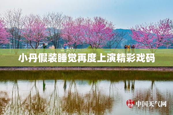 小丹假装睡觉再度上演精彩戏码