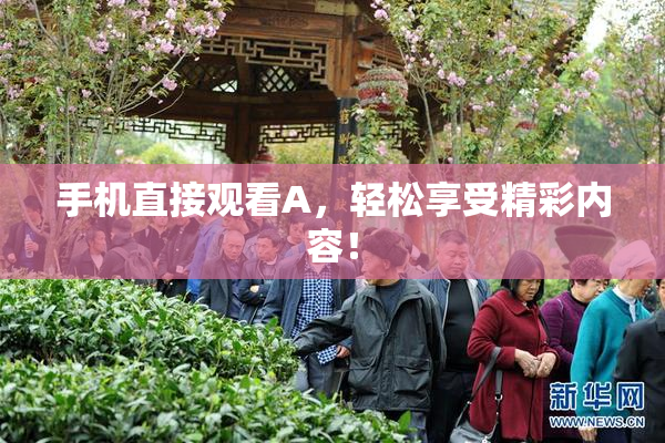 手机直接观看A，轻松享受精彩内容！