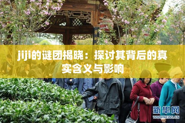 jiji的谜团揭晓：探讨其背后的真实含义与影响