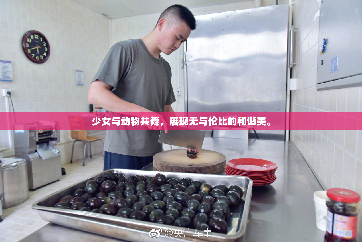 少女与动物共舞，展现无与伦比的和谐美。