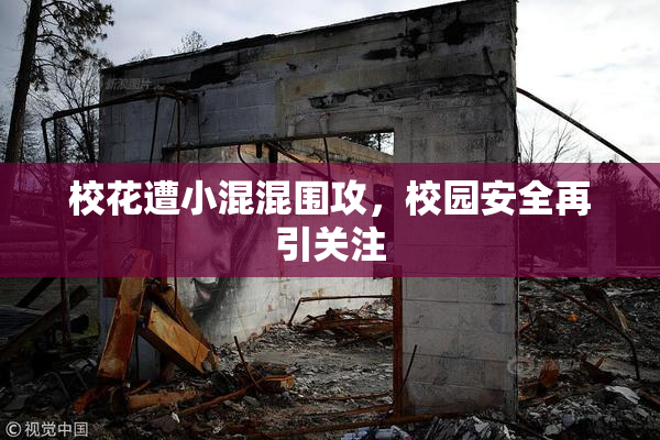 校花遭小混混围攻，校园安全再引关注