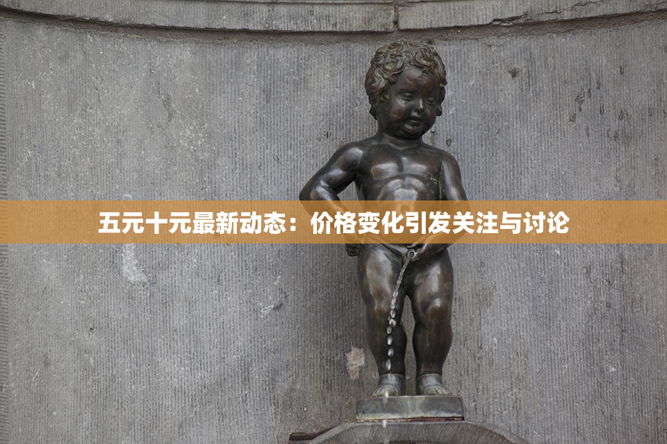 五元十元最新动态：价格变化引发关注与讨论