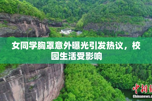 女同学胸罩意外曝光引发热议，校园生活受影响