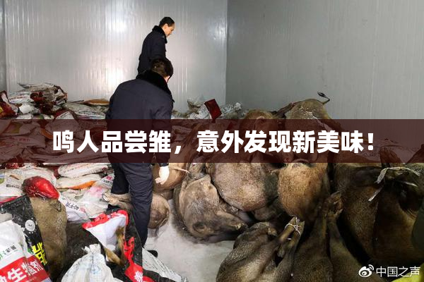 鸣人品尝雏，意外发现新美味！