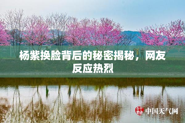 杨紫换脸背后的秘密揭秘，网友反应热烈
