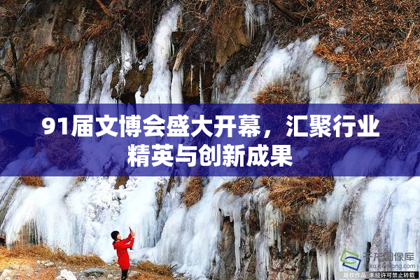 91届文博会盛大开幕，汇聚行业精英与创新成果