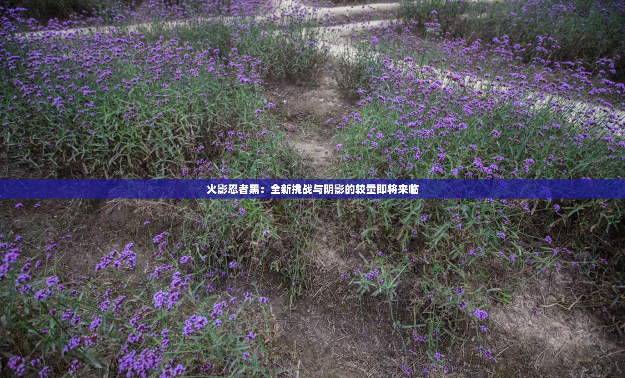 火影忍者黑：全新挑战与阴影的较量即将来临