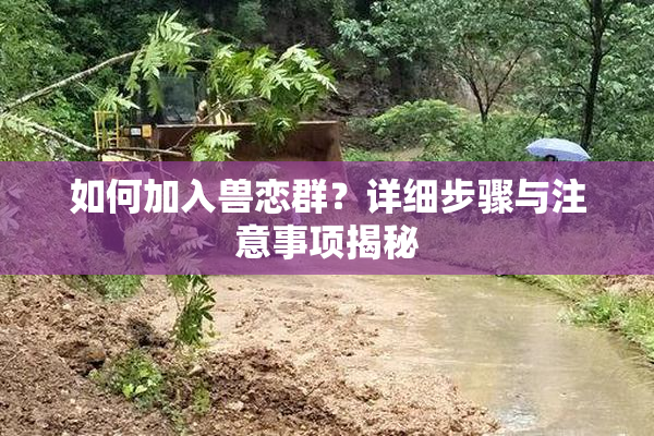 如何加入兽恋群？详细步骤与注意事项揭秘