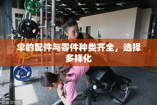 伞的配件与零件种类齐全，选择多样化