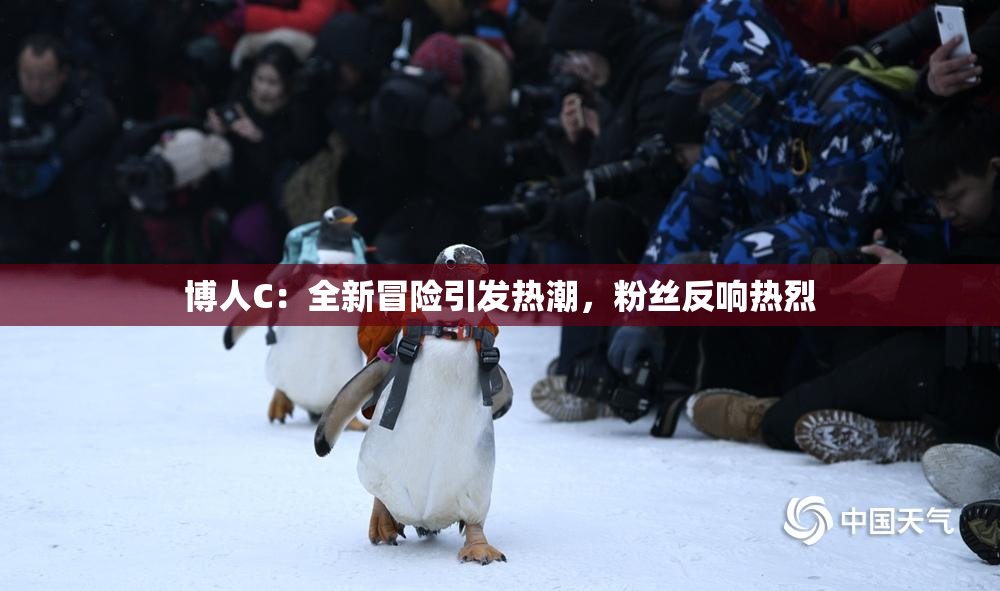 博人C：全新冒险引发热潮，粉丝反响热烈