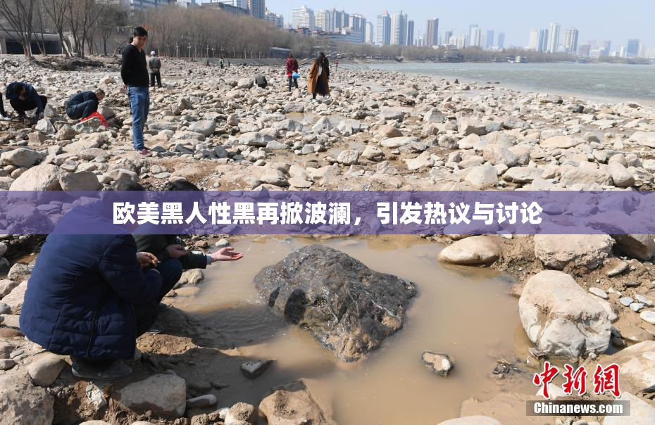 欧美黑人性黑再掀波澜，引发热议与讨论