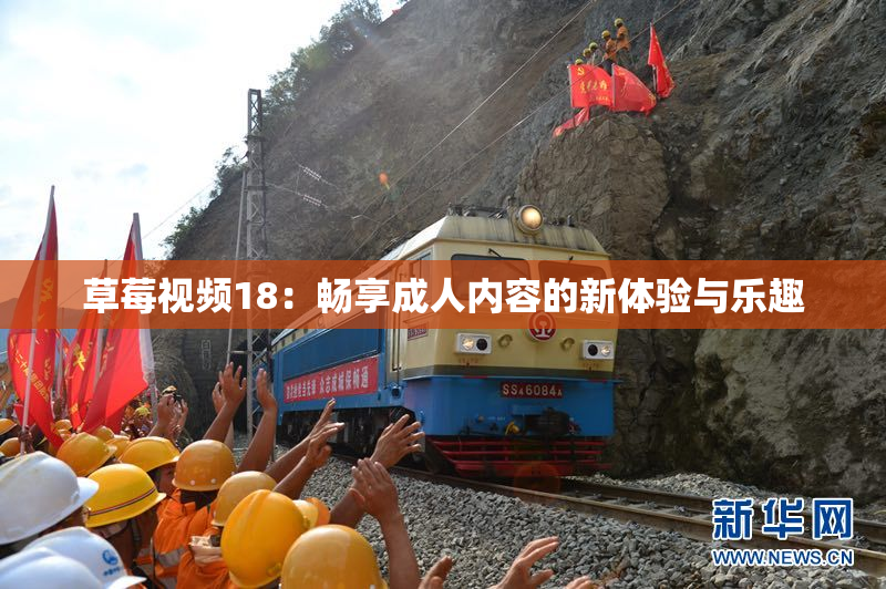 草莓视频18：畅享成人内容的新体验与乐趣