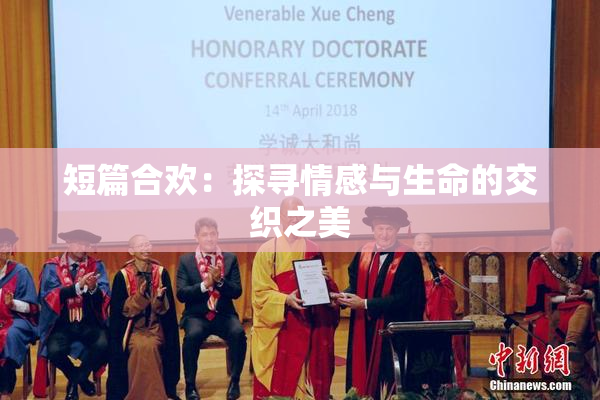 短篇合欢：探寻情感与生命的交织之美