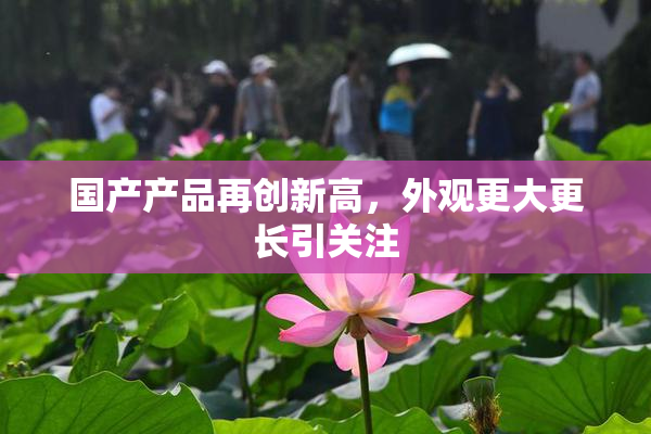 国产产品再创新高，外观更大更长引关注