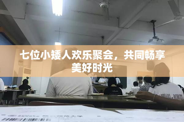 七位小矮人欢乐聚会，共同畅享美好时光