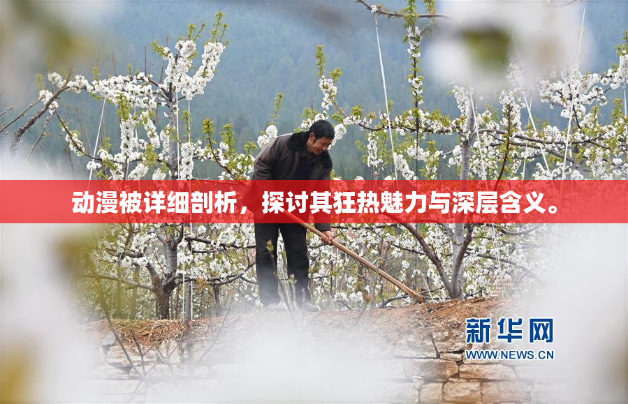 动漫被详细剖析，探讨其狂热魅力与深层含义。