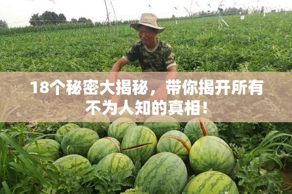 18个秘密大揭秘，带你揭开所有不为人知的真相！