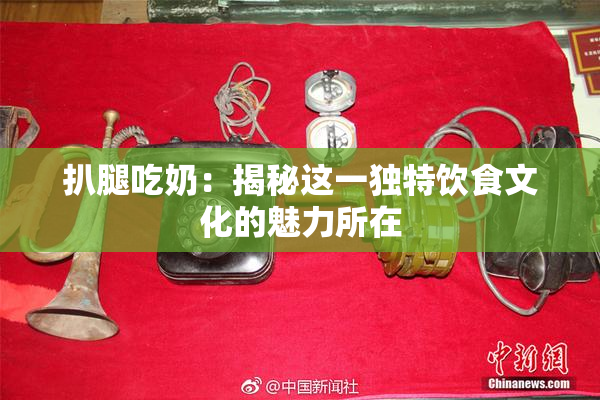 扒腿吃奶：揭秘这一独特饮食文化的魅力所在