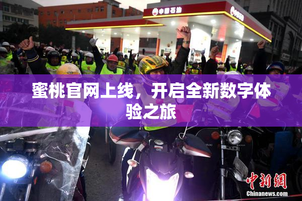 蜜桃官网上线，开启全新数字体验之旅