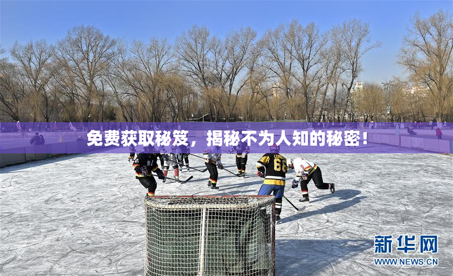 免费获取秘笈，揭秘不为人知的秘密！