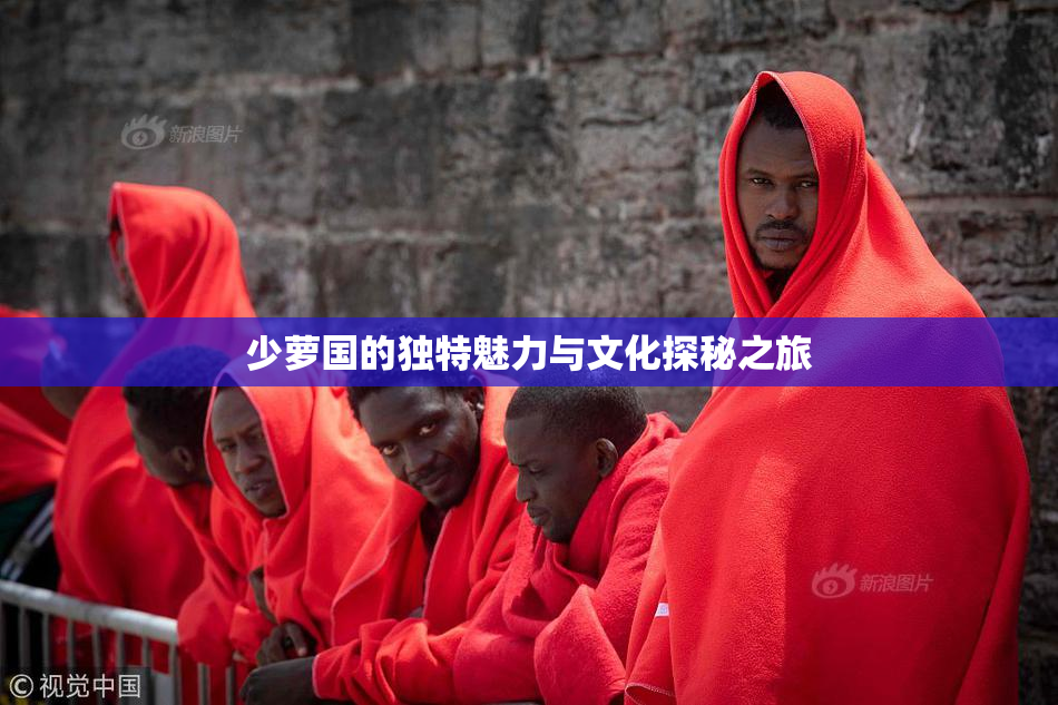 少萝国的独特魅力与文化探秘之旅