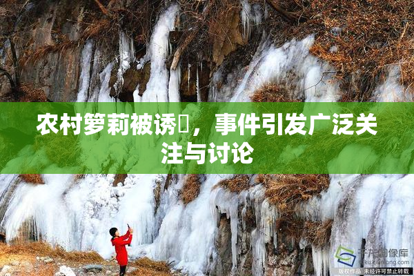 农村箩莉被诱奷，事件引发广泛关注与讨论