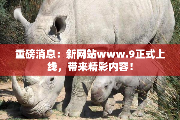 重磅消息：新网站www.9正式上线，带来精彩内容！