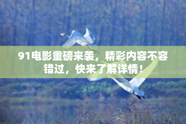 91电影重磅来袭，精彩内容不容错过，快来了解详情！