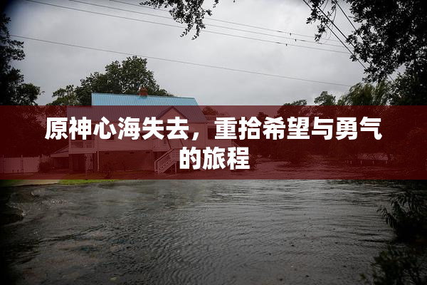 原神心海失去，重拾希望与勇气的旅程