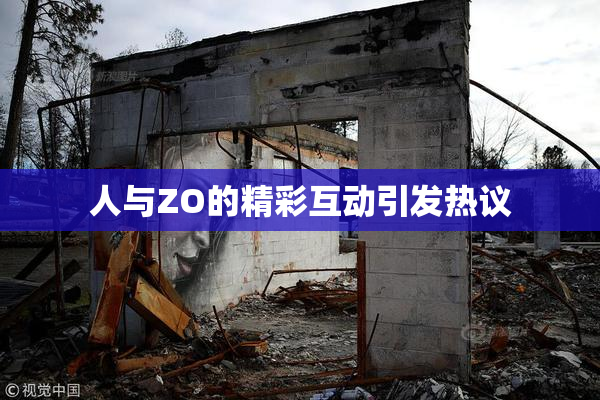 人与ZO的精彩互动引发热议