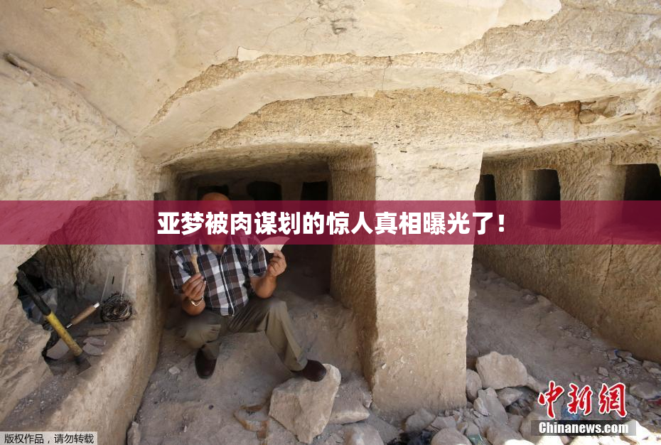 亚梦被肉谋划的惊人真相曝光了！