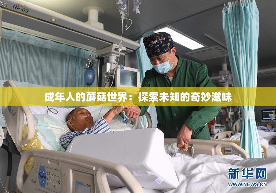 成年人的蘑菇世界：探索未知的奇妙滋味