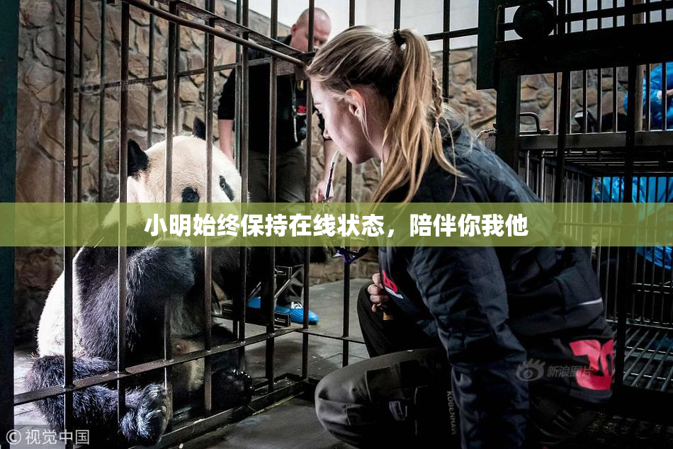 小明始终保持在线状态，陪伴你我他