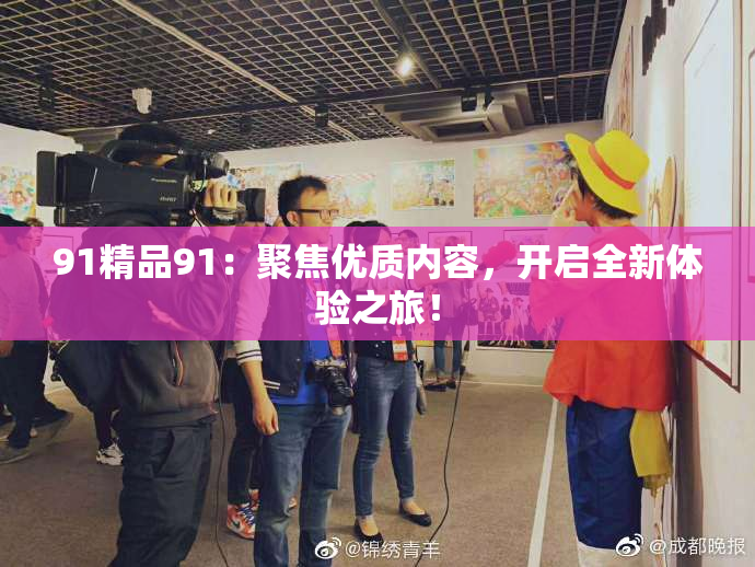 91精品91：聚焦优质内容，开启全新体验之旅！