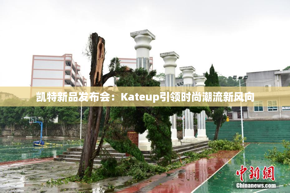 凯特新品发布会：Kateup引领时尚潮流新风向