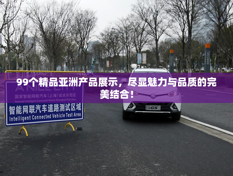 99个精品亚洲产品展示，尽显魅力与品质的完美结合！