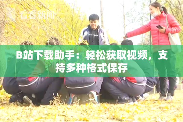 B站下载助手：轻松获取视频，支持多种格式保存
