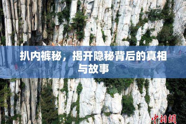 扒内裤秘，揭开隐秘背后的真相与故事
