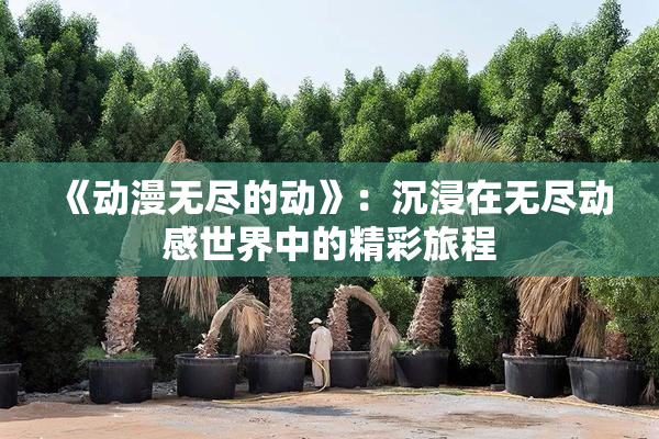《动漫无尽的动》：沉浸在无尽动感世界中的精彩旅程