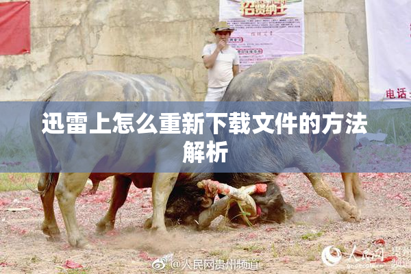 迅雷上怎么重新下载文件的方法解析