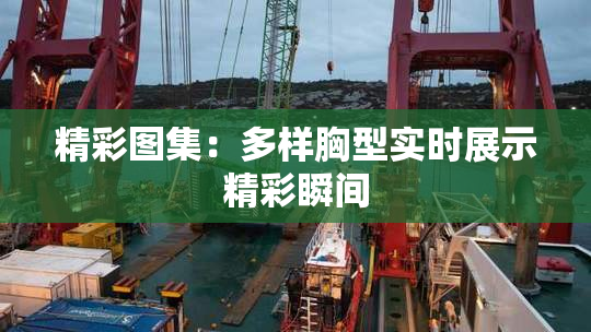 精彩图集：多样胸型实时展示精彩瞬间