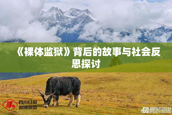 《裸体监狱》背后的故事与社会反思探讨