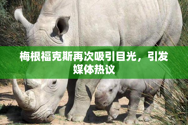 梅根福克斯再次吸引目光，引发媒体热议
